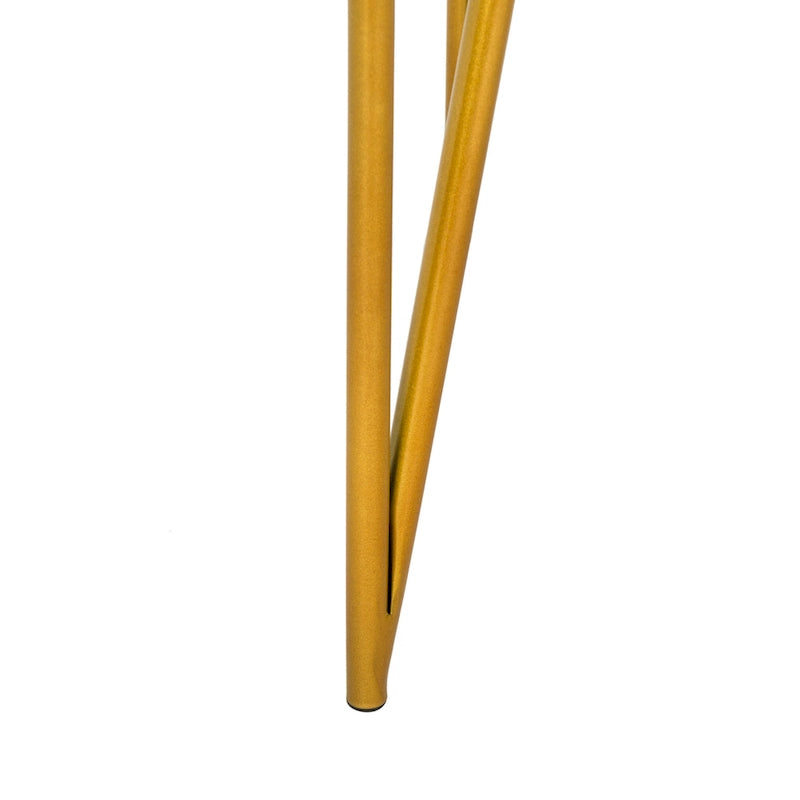 SAFAVIEH Ladonna Bureau 2 tiroirs en pin naturel