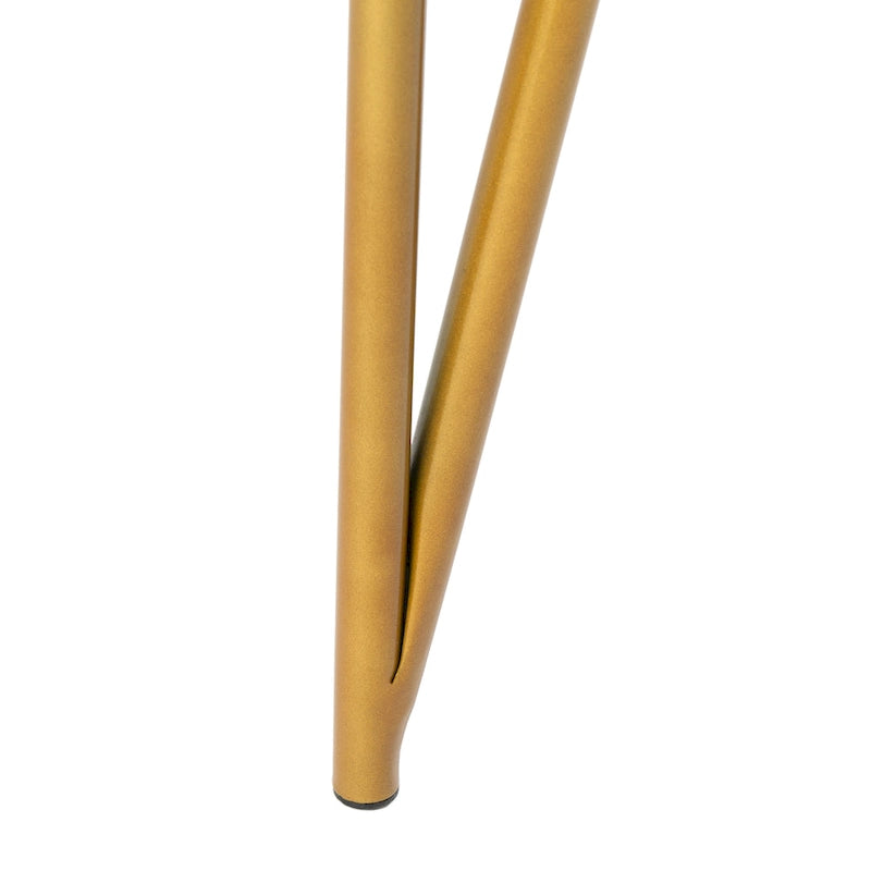 SAFAVIEH Ladonna Bureau 2 tiroirs en pin naturel
