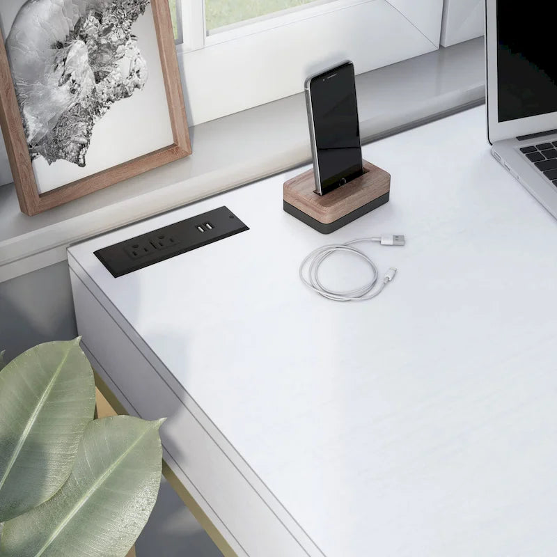 Bureau d'ordinateur Bird Modern en métal de 42 pouces avec ports USB par Furniture of America