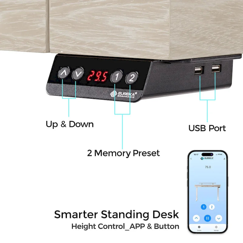 Eureka Ergonomic Bureau debout 55 Slate Stone Bureau de Direction avec 2 Tiroirs et Support Moniteur