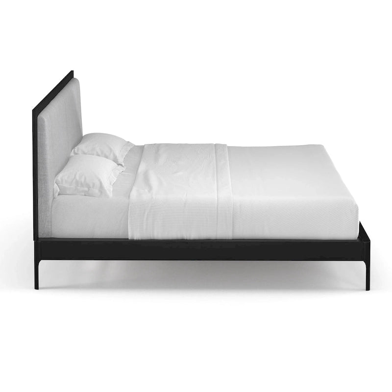 Lit Queen Size Anushka