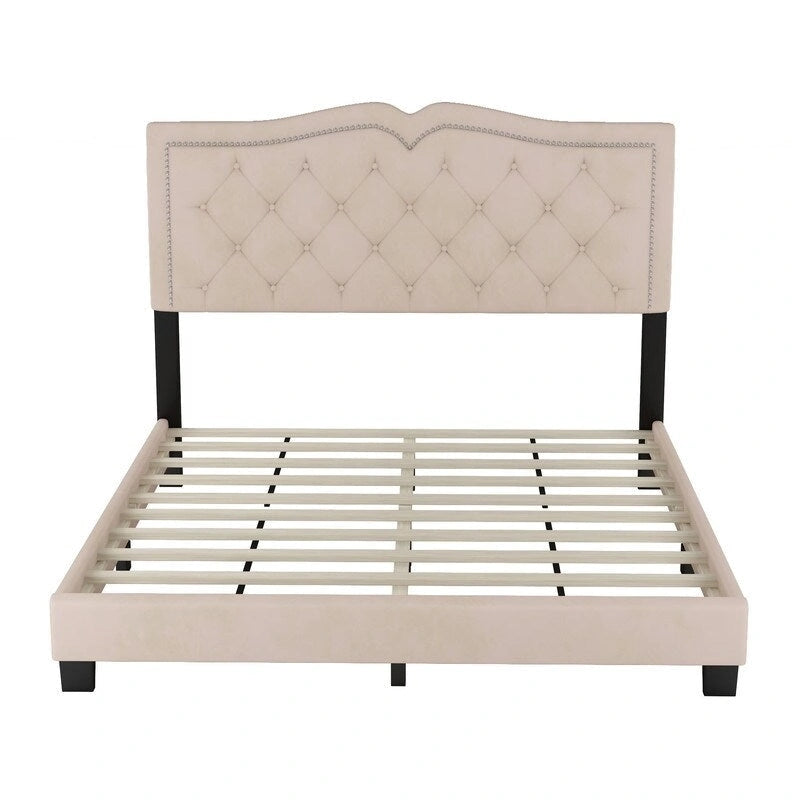 Cadre de lit tapissé Queen Size avec design riveté, lit plateforme moderne en velours avec tête de lit capitonnée