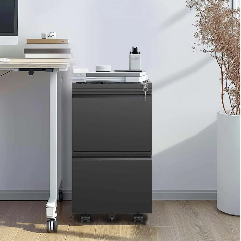 2 Drawer Metal Mobile File Cabinet,Rolling File Cabinet with Lock for Hanging Legal/Letter/A4 Size,Fully Assembled Except Wheels